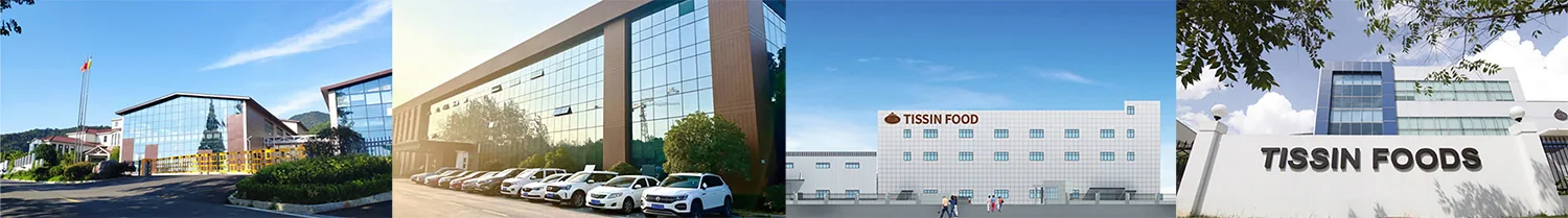 Tissin Food production sites in China and Southeast Asia